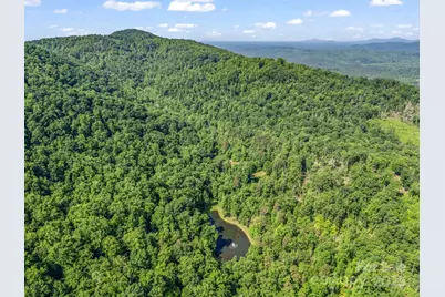 980 Mountain Forest Drive, Union Mills, NC 28167 - Photo 39