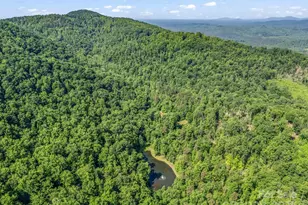 980 Mountain Forest Dr, Union Mills, NC 28167 - Photo 39