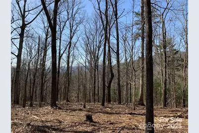 228 Spivey Mountain Road #5, Asheville, NC 28806 - Photo 3