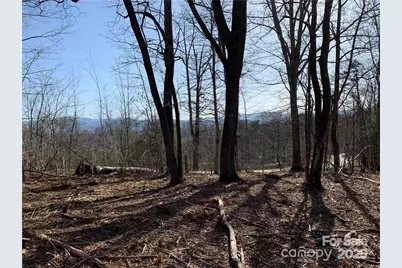 228 Spivey Mountain Road #5, Asheville, NC 28806 - Photo 11