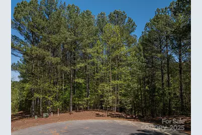 1236 Boardwalk Drive, Connelly Springs, NC 28612 - Photo 11