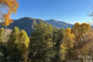 1426 Setzer Cove Rd, Maggie Valley, NC 28751 - Photo 37