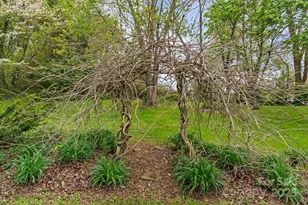 412 Trammell Ave, Canton, NC 28716 - Photo 7