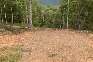 1 Jackson Rdg Ln, Mill Spring, NC 28756 - Photo 3