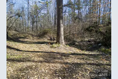 99999 Monticello Road, Weaverville, NC 28787 - Photo 5