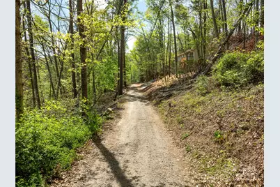 66 Avondale Heights Road, Asheville, NC 28803 - Photo 25