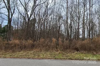 Tbd Lazy Oak Drive, Lancaster, SC 29720 - Photo 5