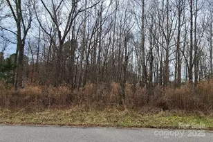 Tbd Lazy Oak Dr, Lancaster, SC 29720 - Photo 5