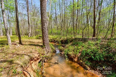 0 Taylor Road, Rutherfordton, NC 28139 - Photo 9