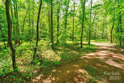 0 Taylor Road, Rutherfordton, NC 28139 - Photo 11