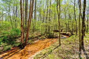 0 Taylor Rd, Rutherfordton, NC 28139 - Photo 1