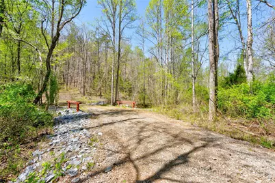 0 Taylor Road, Rutherfordton, NC 28139 - Photo 3
