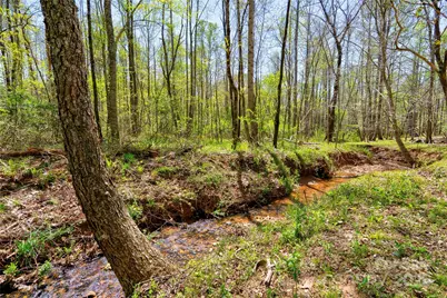 0 Taylor Road, Rutherfordton, NC 28139 - Photo 5