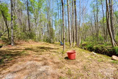 0 Taylor Road, Rutherfordton, NC 28139 - Photo 17