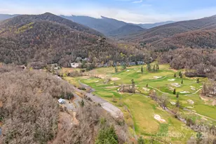 11381 State Hwy 80 N Hwy, Burnsville, NC 28714 - Photo 31