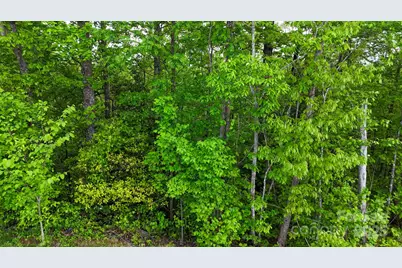 00 River Club Ridge #1029, Lenoir, NC 28645 - Photo 11