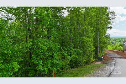 00 River Club Ridge #1029, Lenoir, NC 28645 - Photo 13