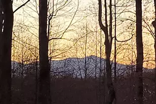 4107 Sandy Plains Rd, Tryon, NC 28782 - Photo 23