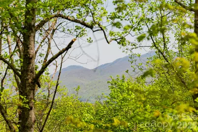 26 Hickory Top Lane, Asheville, NC 28805 - Photo 43