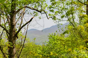 26 Hickory Top Ln, Asheville, NC 28805 - Photo 43