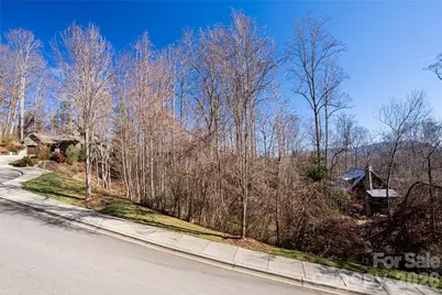 15 La Grange Drive #23, Asheville, NC 28805 - Photo 3
