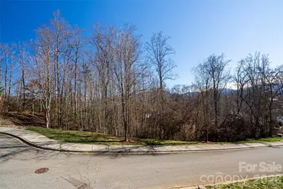 15 La Grange Drive #23, Asheville, NC 28805 - Photo 7