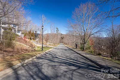 15 La Grange Drive #23, Asheville, NC 28805 - Photo 11