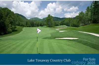 228 Mills Creek Trace, Lake Toxaway, NC 28747 - Photo 45