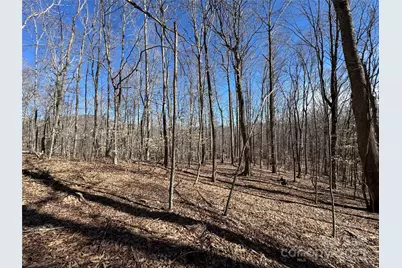 Tbd Doublehead Mountain Road, Newland, NC 28657 - Photo 41