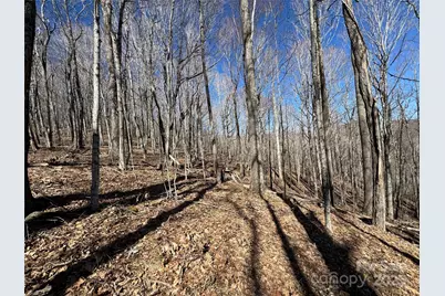 Tbd Doublehead Mountain Road, Newland, NC 28657 - Photo 27