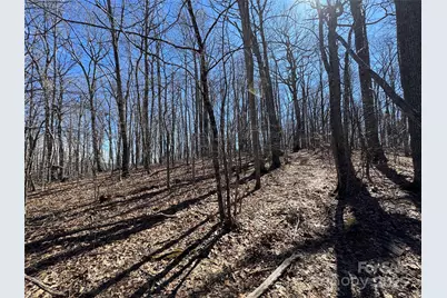 Tbd Doublehead Mountain Road, Newland, NC 28657 - Photo 9