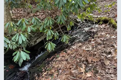 Tbd Doublehead Mountain Road, Newland, NC 28657 - Photo 5