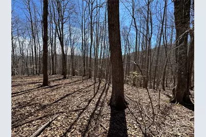 Tbd Doublehead Mountain Road, Newland, NC 28657 - Photo 47
