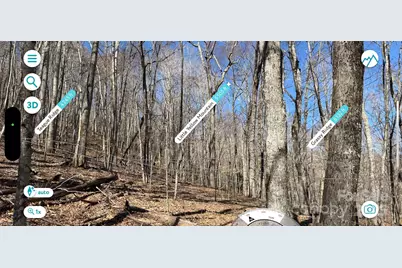 Tbd Doublehead Mountain Road, Newland, NC 28657 - Photo 37