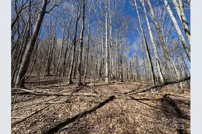 Tbd Doublehead Mountain Road, Newland, NC 28657 - Photo 43