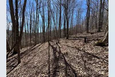 Tbd Doublehead Mountain Road, Newland, NC 28657 - Photo 39