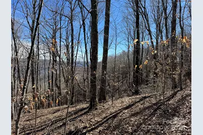 Tbd Doublehead Mountain Road, Newland, NC 28657 - Photo 19