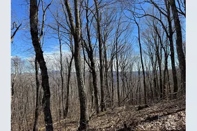 Tbd Doublehead Mountain Road, Newland, NC 28657 - Photo 17