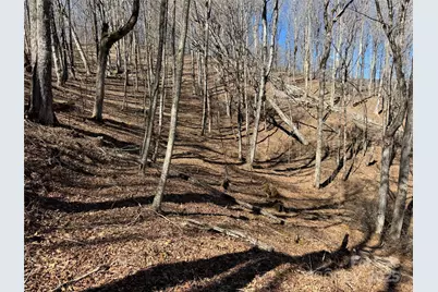Tbd Doublehead Mountain Road, Newland, NC 28657 - Photo 23