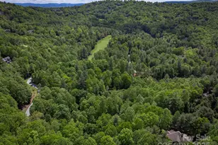 168 Chattooga Run, Hendersonville, NC 28739 - Photo 43