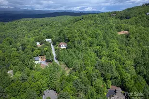 168 Chattooga Run, Hendersonville, NC 28739 - Photo 45