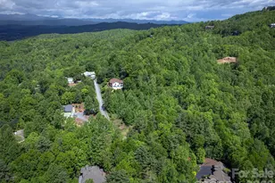 168 Chattooga Run, Hendersonville, NC 28739 - Photo 45