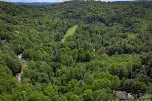 168 Chattooga Run, Hendersonville, NC 28739 - Photo 43