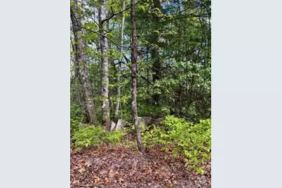 44 A Red Oak Lane #FR 44A, Brevard, NC 28712 - Photo 11