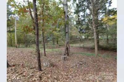 627 Bolick Road, Fort Mill, SC 29707 - Photo 17