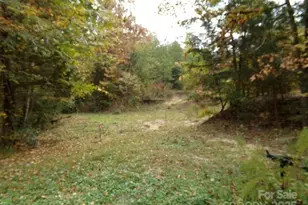 627 Bolick Rd, Fort Mill, SC 29707 - Photo 11