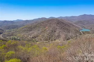 28 & 29 Spruce Chase Ln, Swannanoa, NC 28778 - Photo 3