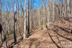 28 & 29 Spruce Chase Ln, Swannanoa, NC 28778 - Photo 5