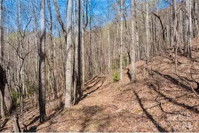 28 & 29 Spruce Chase Lane, Swannanoa, NC 28778 - Photo 45