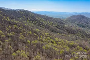 28 & 29 Spruce Chase Ln, Swannanoa, NC 28778 - Photo 43